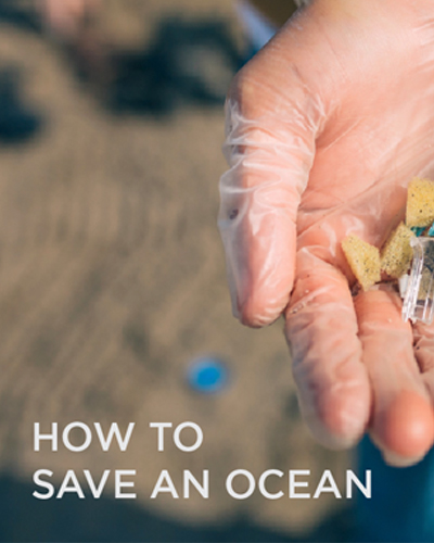 HOW TO<br>SAVE AN OCEAN
