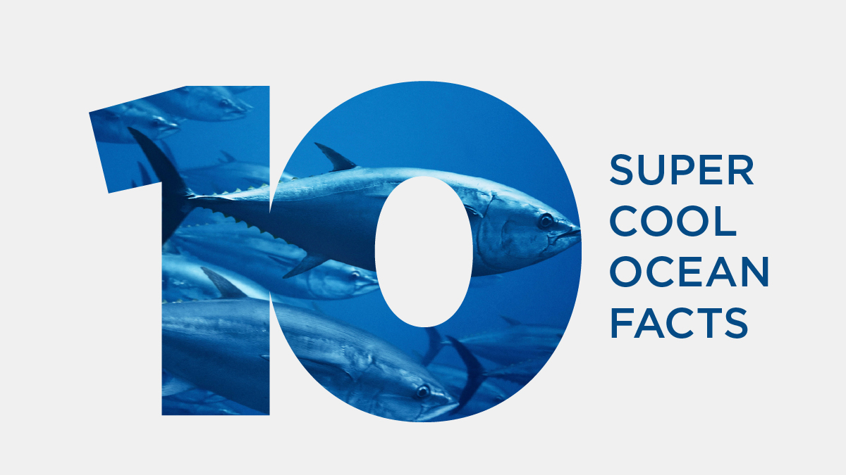 10 SUPER COOL<br>OCEAN FACTS