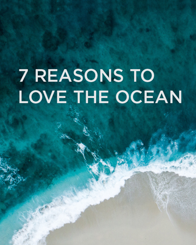 7 REASONS TO<br>LOVE THE OCEAN
