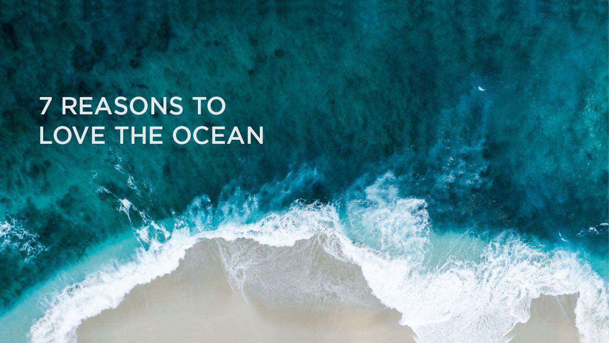 7 REASONS TO<br>LOVE THE OCEAN