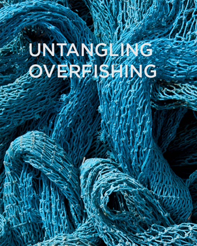 UNTANGLING<br>OVERFISHING