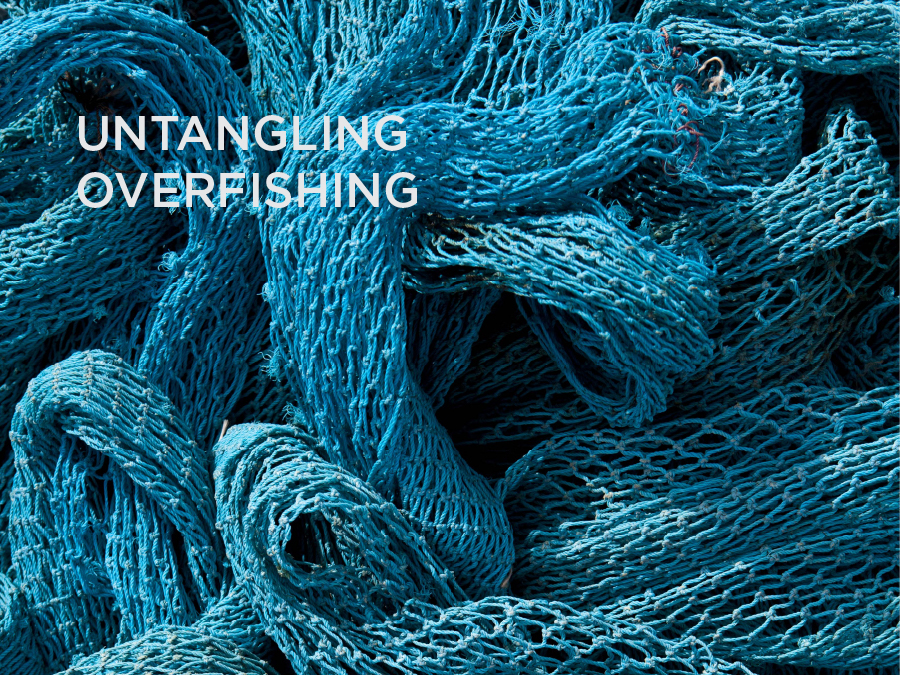 UNTANGLING<br>OVERFISHING