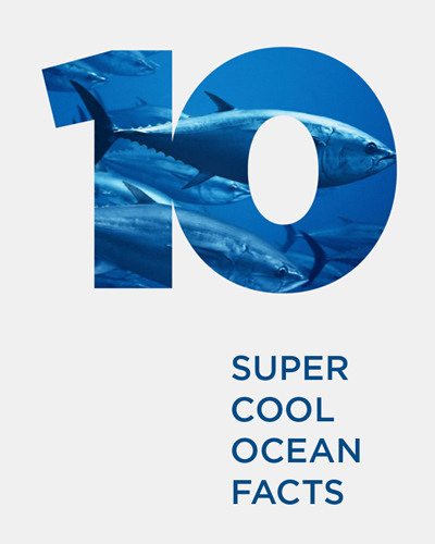 10 SUPER COOL<br>OCEAN FACTS